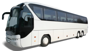 Intercity bus (Coach)